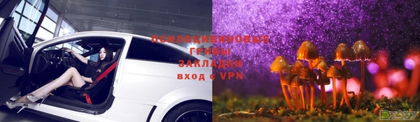 стафф Богородицк
