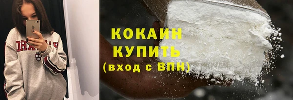 индика Беломорск