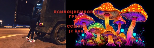 гидропоника Белокуриха