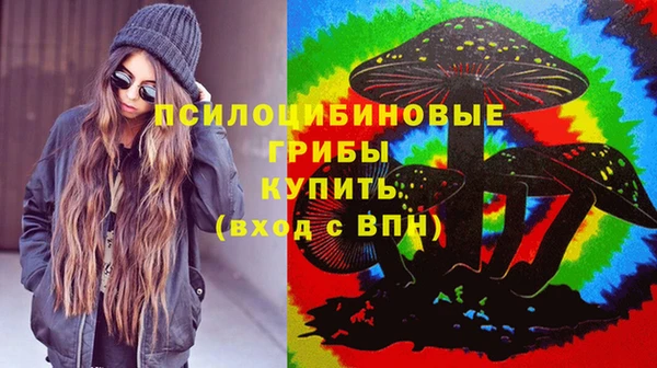 стафф Богородицк
