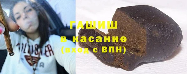 индика Беломорск