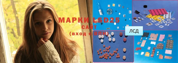индика Беломорск