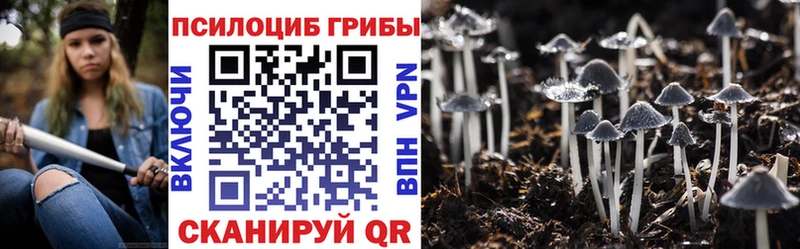 Псилоцибиновые грибы Psilocybe  Купить  Алушта 